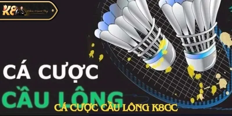 Cá Cược Cầu Lông