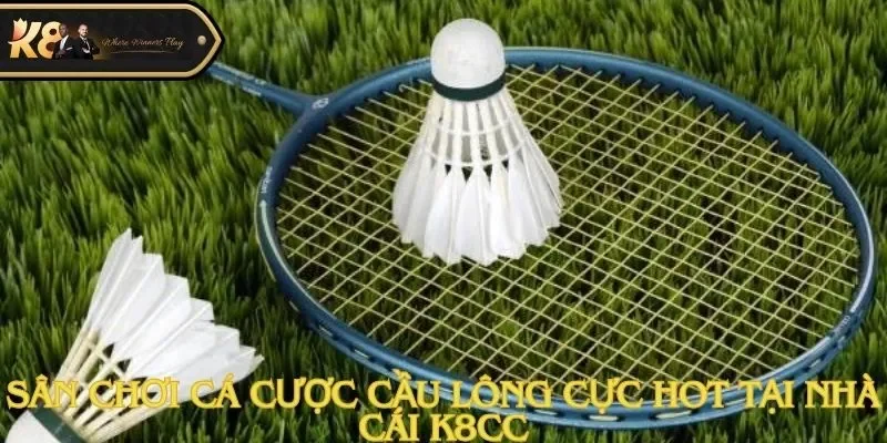 Cá Cược Cầu Lông