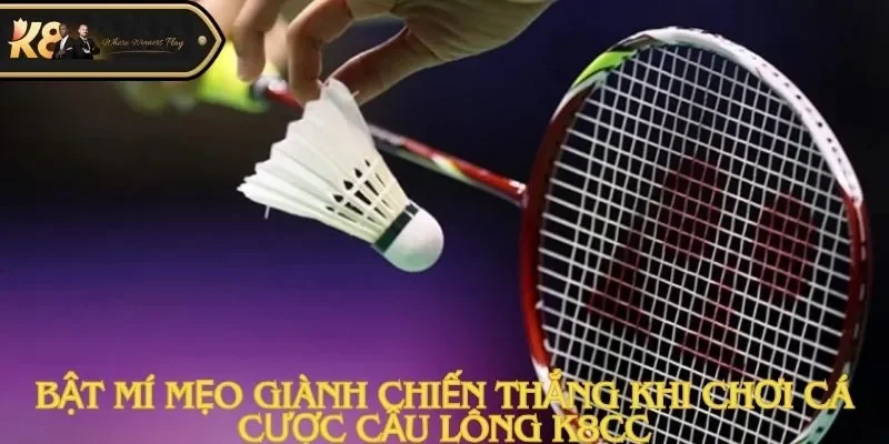 Cá Cược Cầu Lông