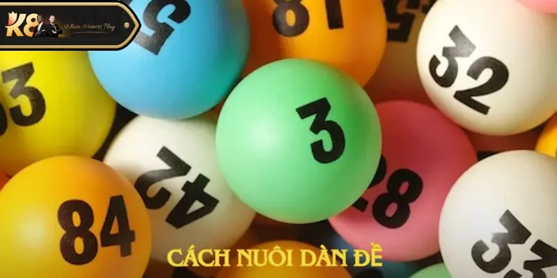 Cách nuôi dàn đề