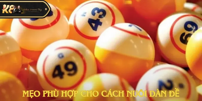 Cách nuôi dàn đề