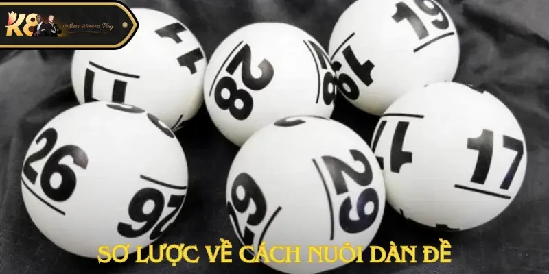 Cách nuôi dàn đề