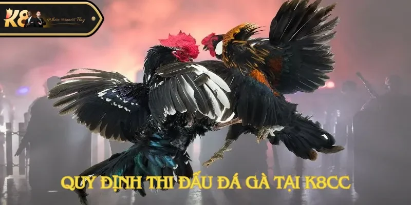 Quy định thi đấu đá gà tại K8CC