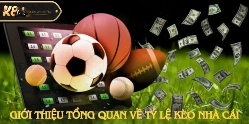 Thương hiệu K8CC giới thiệu tổng quan về tỷ lệ kèo nhà cái cực chi tiết